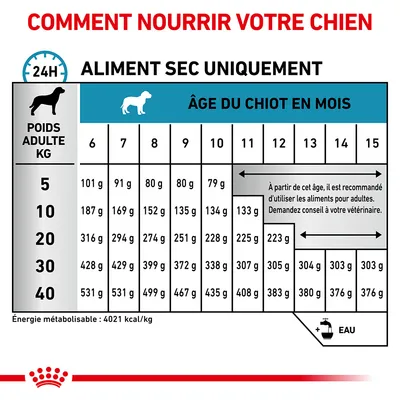 Tableau d’alimentation pour chiot selon poids adulte (5–40 kg) et âge (6–15 mois), quantités en grammes par jour, énergie 4021 kcal/kg. Recommandation de passer à l’aliment adulte dès 12 mois.
