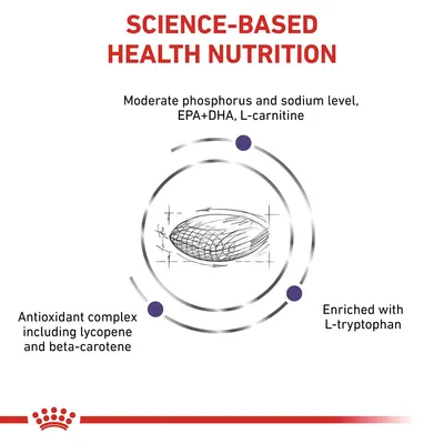 Science-based health nutrition with moderate phosphorus and sodium, EPA+DHA, L-carnitine, antioxidant complex including lycopene and beta-carotene, enriched with L-tryptophan.