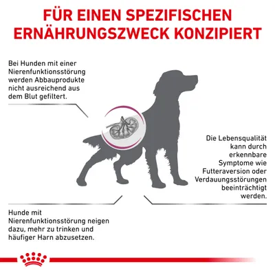 Grafik mit Hund und Text: Für einen spezifischen Ernährungszweck konzipiert. Informationen zu Nierenfunktionsstörungen bei Hunden, Symptomen wie Futteraversion und erhöhtem Harnausstoss.