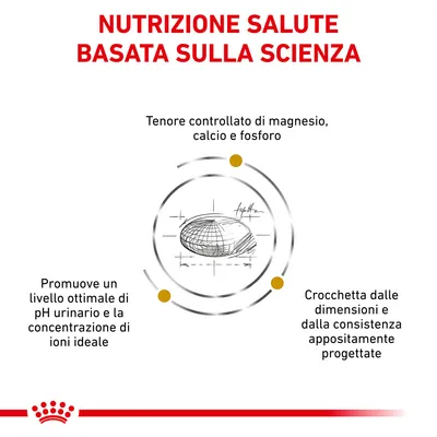 Nutrizione salute basata sulla scienza. Tenore controllato di magnesio, calcio e fosforo. Promuove livello ottimale di pH urinario. Crocchetta con dimensioni e consistenza progettate.