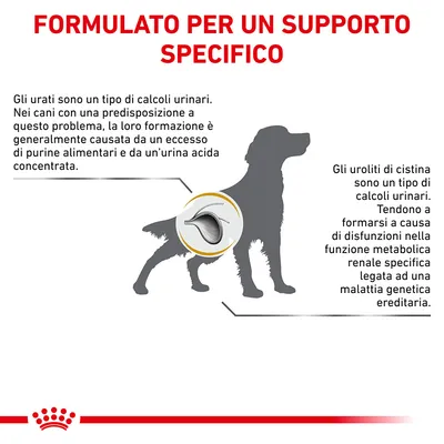 FORMULATO PER UN SUPPORTO SPECIFICO. Informazioni su calcoli urinari nei cani: urati causati da purine e urina acida, uroliti di cistina legati a disfunzioni metaboliche genetiche.
