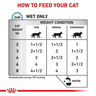 Πίνακας διατροφής γάτας με υγρή τροφή ανά κιλά (2–8) και κατάσταση βάρους: αδύνατη, φυσιολογική, υπέρβαρη. Ενδείξεις μερίδων και σύσταση για νερό. Ενέργεια: 967 kcal/kg.