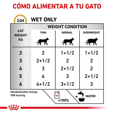 Tabla de alimentación para gatos según peso (2–6 kg) y condición corporal: delgado, normal o sobrepeso. Incluye raciones diarias en sobres y recordatorio de agua. Energía: 908 kcal/kg.
