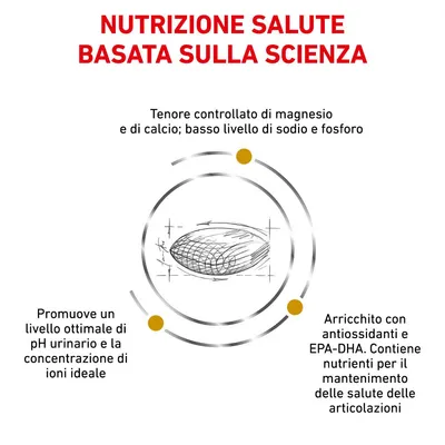 NUTRIZIONE SALUTE BASATA SULLA SCIENZA. Tenore controllato di magnesio e calcio; basso livello di sodio e fosforo. Promuove pH urinario ottimale. Arricchito con antiossidanti ed EPA-DHA.