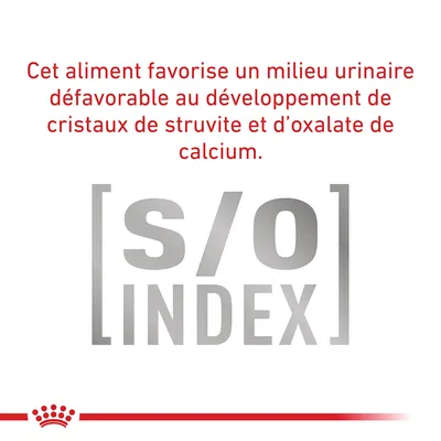 Cet aliment favorise un milieu urinaire défavorable au développement de cristaux de struvite et d’oxalate de calcium. [s/o] INDEX