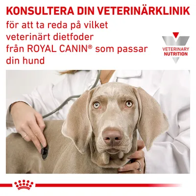KONSULTERA DIN VETERINÄRKLINIK för att ta reda på vilket veterinärt dietfoder från ROYAL CANIN som passar din hund. VETERINARY NUTRITION.