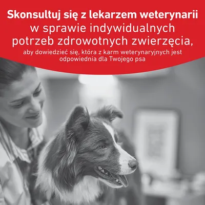 Royal Canin Veterinary Canine Glycobalance Royal Canin Veterinary Canine Glycobalance