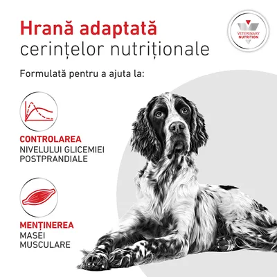 Royal Canin Veterinary Canine Glycobalance Mousse
