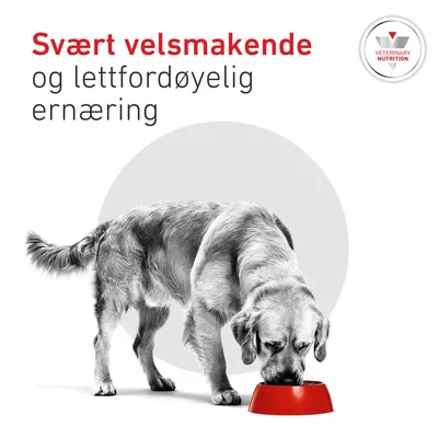 Royal Canin Veterinary Canine Glycobalance Mousse