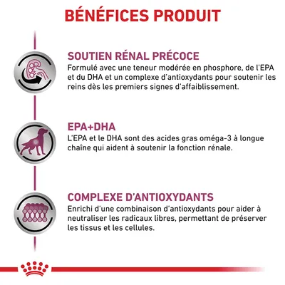 BÉNÉFICES PRODUIT : Soutien rénal précoce, EPA+DHA, complexe d’antioxydants. Détails sur le soutien des reins, les oméga-3 et la protection des cellules par antioxydants.