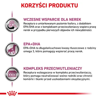 Korzyści produktu: wczesne wsparcie dla nerek, EPA+DHA wspiera pracę nerek, kompleks przeciwutleniaczy chroni komórki i tkanki przed uszkodzeniami oksydacyjnymi.