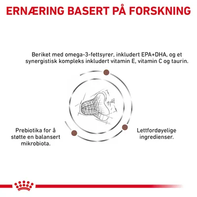 Royal Canin Expert Feline Gastrointestinal Fibre Response