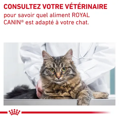 Consultez votre vétérinaire pour savoir quel aliment ROYAL CANIN est adapté à votre chat.