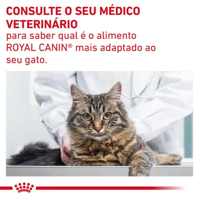 Consulte o seu médico veterinário para saber qual é o alimento ROYAL CANIN mais adaptado ao seu gato.