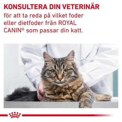 KONSULTERA DIN VETERINÄR för att ta reda på vilket foder eller dietfoder från ROYAL CANIN® som passar din katt.