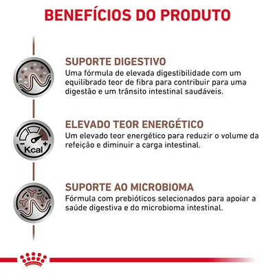 Benefícios do produto: suporte digestivo, elevado teor energético e suporte ao microbioma. Inclui descrições sobre digestibilidade, energia e prebióticos para saúde intestinal.