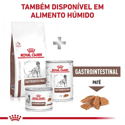 Royal Canin Gastrointestinal seco e húmido para cães, embalagem de ração seca e latas de patê. Texto: 'TAMBÉM DISPONÍVEL EM ALIMENTO HÚMIDO', 'GASTROINTESTINAL', 'PATÊ'.