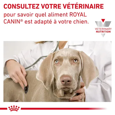 Consultez votre vétérinaire pour savoir quel aliment ROYAL CANIN® est adapté à votre chien. VETERINARY NUTRITION visible en haut à droite.