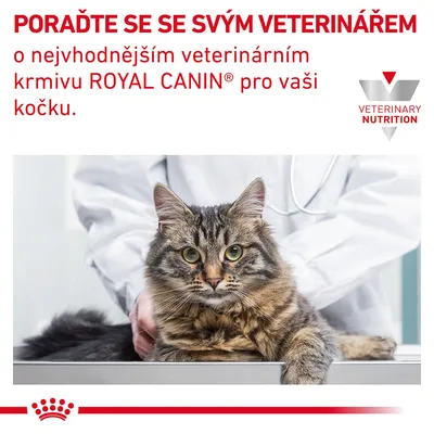 Text: PORAĎTE SE SE SVÝM VETERINÁŘEM o nejvhodnějším veterinárním krmivu ROYAL CANIN pro vaši kočku. Kočka na vyšetřovacím stole, osoba v bílém plášti. VETERINARY NUTRITION.