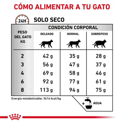 Tabla de raciones diarias de pienso seco para gatos según peso (2–8 kg) y condición corporal: delgado, normal o sobrepeso. Incluye valores en gramos y recordatorio de agua.