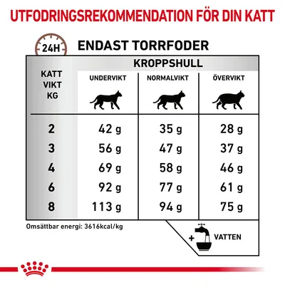Utfodringsrekommendation för katt: tabell med daglig mängd torrfoder i gram för olika kroppshull och viktklasser 2–8 kg. Omsättbar energi: 3616 kcal/kg. Vatten rekommenderas.