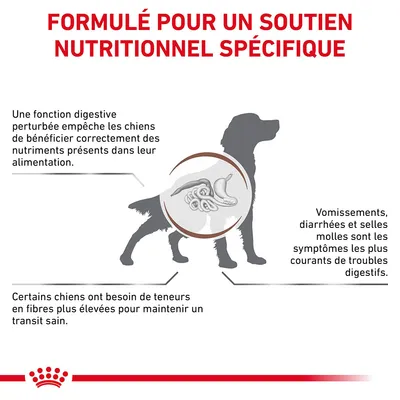 Formulé pour un soutien nutritionnel spécifique. Fonction digestive perturbée, symptômes digestifs courants : vomissements, diarrhées, selles molles. Besoin de fibres plus élevées pour certains chiens.