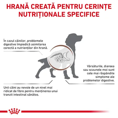 Hrană creată pentru cerințe nutriționale specifice. Probleme digestive la câini: asimilare incorectă a nutrienților, vărsături, diaree, necesar crescut de fibre pentru tranzit intestinal sănătos.
