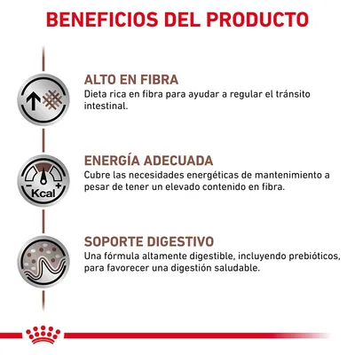 Beneficios del producto: alto en fibra, energía adecuada y soporte digestivo. Texto en español sobre ventajas nutricionales visibles en la imagen.
