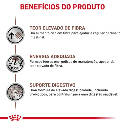 Benefícios do produto: teor elevado de fibra, energia adequada e suporte digestivo. Inclui descrições sobre fibra, energia de manutenção e fórmula com prebióticos para digestão saudável. Benefícios do produto: teor elevado de fibra, energia adequada e suporte digestivo. Inclui descrições sobre fibra, energia de manutenção e fórmula com prebióticos para digestão saudável.
