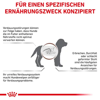 Grafik: Für einen spezifischen Ernährungszweck konzipiert. Verdauungsstörungen bei Hunden können Nährstoffaufnahme beeinträchtigen. Symptome: Erbrechen, Durchfall, schlecht geformter Stuhl.