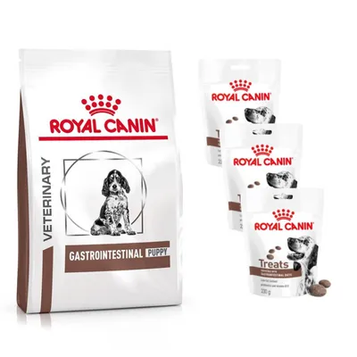 Royal Canin Vet Canine Gastrointestinal + 3 x 230 g Gastrointestinal Snacks ¡gratis!