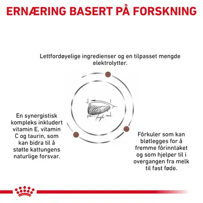 Royal Canin Veterinary Feline Gastrointestinal Kitten