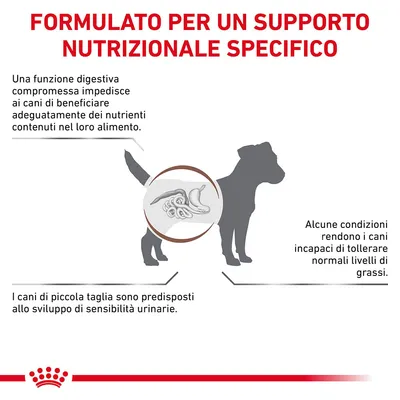 FORMULATO PER UN SUPPORTO NUTRIZIONALE SPECIFICO. Una funzione digestiva compromessa impedisce ai cani di beneficiare dei nutrienti. I cani di piccola taglia sono predisposti a sensibilità urinarie.