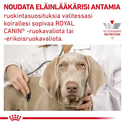 Noudatettava eläinlääkärin antamia ruokintasuosituksia valittaessa koiralle ROYAL CANIN -ruokavaliota. VETERINARY NUTRITION -teksti ja logo, kuva koirasta eläinlääkärin tutkimuksessa.