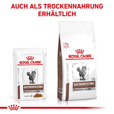 Royal Canin Gastrointestinal Moderate Calorie, erhältlich als Nass- und Trockenfutter. Verpackungen mit Katzenabbildung und Produktdetails sichtbar.
