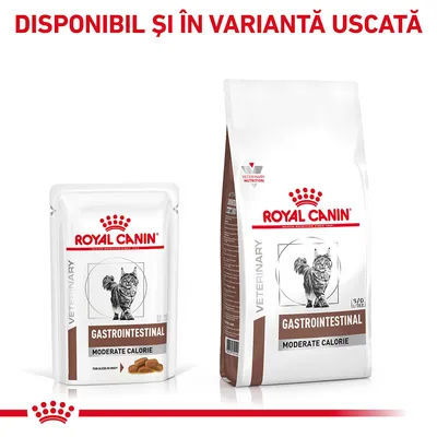 Plic și sac Royal Canin Gastrointestinal Moderate Calorie pentru pisici, text vizibil: DISPONIBIL ȘI ÎN VARIANTĂ USCATĂ. Ambalaje cu imagine de pisică și denumirea produsului.