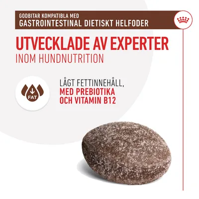 Text: Godbitar kompatibla med gastrointestinal dietiskt helfoder. Utvecklade av experter inom hundnutrition. Lågt fettinnehåll, med prebiotika och vitamin B12. Bild på ett brunt foderbit.