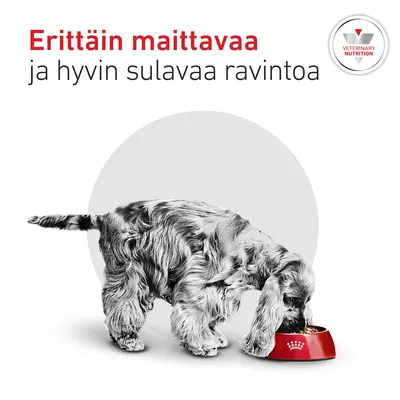 Kuvassa teksti: 'Erittäin maittavaa ja hyvin sulavaa ravintoa'. Ylhäällä oikealla: 'Veterinary Nutrition'. Koira syö punaisesta kupista. Kuvassa teksti: 'Erittäin maittavaa ja hyvin sulavaa ravintoa'. Ylhäällä oikealla: 'Veterinary Nutrition'. Koira syö punaisesta kupista.