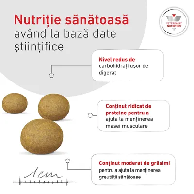 Royal Canin Veterinary Canine Glycobalance Small Dog