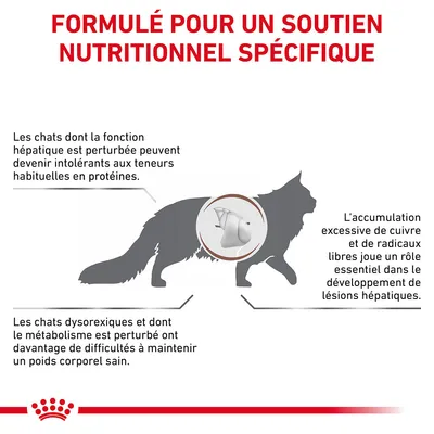 Formulé pour un soutien nutritionnel spécifique. Chats à fonction hépatique perturbée : intolérance aux protéines, accumulation de cuivre, difficultés à maintenir un poids sain.