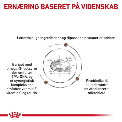 ERNÆRING BASERET PÅ VIDENSKAB. Letfordøjelige ingredienser, tilpassede niveauer af kobber, omega-3-fedtsyrer EPA+DHA, vitamin E, C, taurin og præbiotika for balanceret mikrobiota.