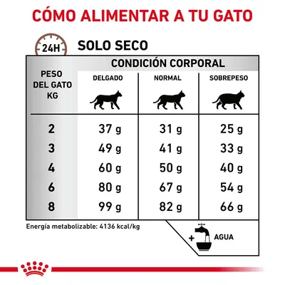 Tabla de raciones diarias de pienso seco para gatos según peso (2–8 kg) y condición corporal: delgado, normal o sobrepeso. Energía metabolizable: 4136 kcal/kg. Añadir agua.