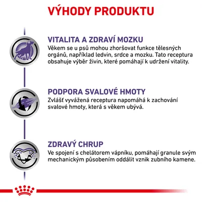 Výhody produktu: vitalita a zdraví mozku, podpora svalové hmoty, zdravý chrup. Text popisuje přínosy receptury pro psy včetně udržení vitality, svalů a zubní hygieny.