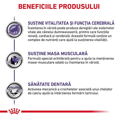 BENEFICIILE PRODUSULUI: Susține vitalitatea și funcția cerebrală, susține masa musculară, sănătate dentară. Text explicativ pentru fiecare beneficiu vizibil în imagine.
