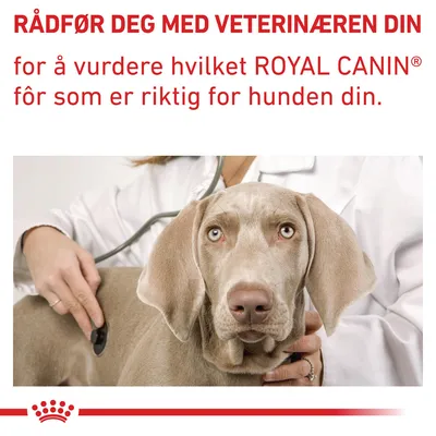Royal Canin Expert Canine Mature Consult Small Dog