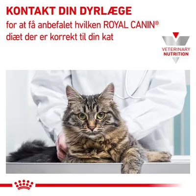 KONTAKT DIN DYRLÆGE for at få anbefalet hvilken ROYAL CANIN diæt der er korrekt til din kat. VETERINARY NUTRITION. Billede af kat hos dyrlæge.