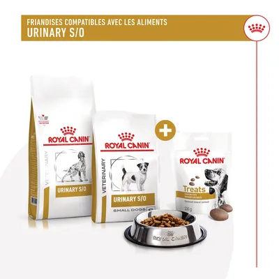 Sachets et friandises Royal Canin Urinary S/O pour chiens, avec gamelle remplie de croquettes. Texte visible : Friandises compatibles avec les aliments Urinary S/O.