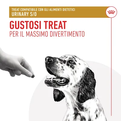 TREAT COMPATIBILE CON GLI ALIMENTI DIETETICI URINARY S/O. GUSTOSI TREAT PER IL MASSIMO DIVERTIMENTO.