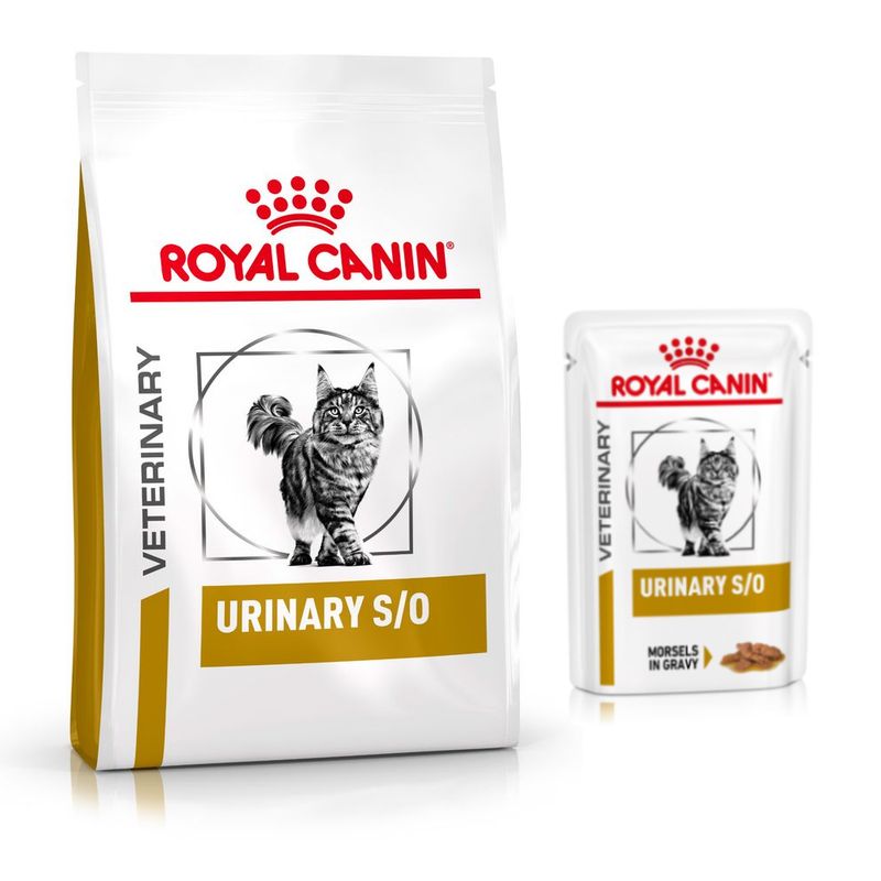 Pack nutrición mixta: pienso + sobres Royal Canin Veterinary