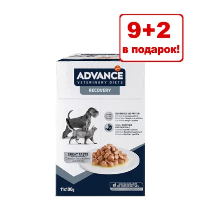 Advance Veterinary Diets Recovery, 11×100 г. Акция: 9+2 в подарок! Видны изображения собаки и кошки, кусочки корма на тарелке. Текст на английском о составе и вкусе.